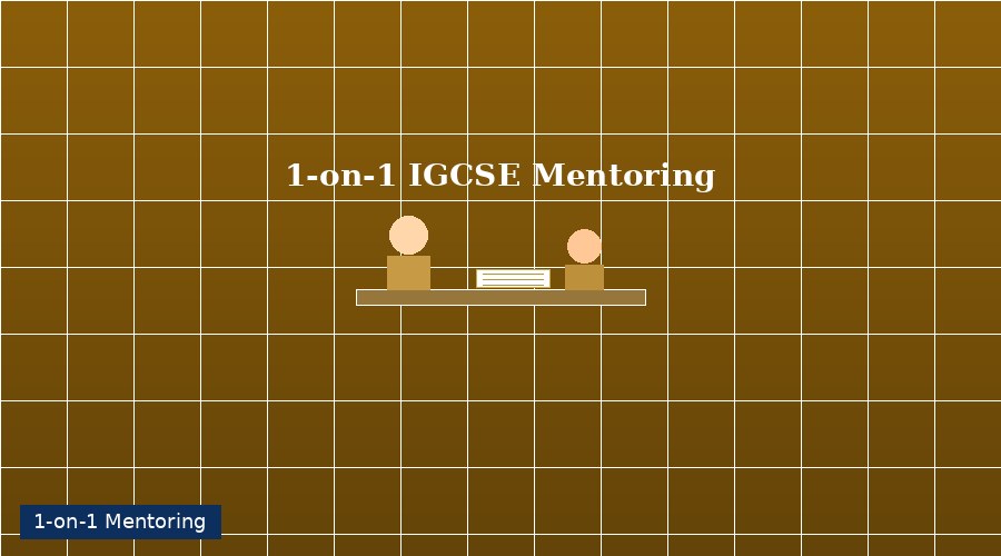 One-on-one student mentoring